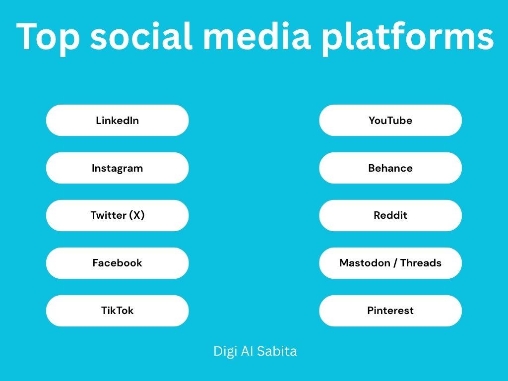 Top Social Media Platforms listed: LinkedIn, Instagram, Twitter (X), Facebook, TikTok, YouTube, Behance, Reddit, Mastodon / Threads, Pinterest.
